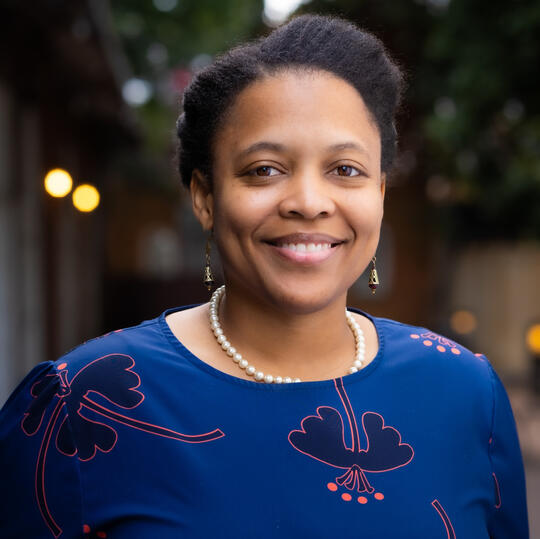 Natasha P. Wilson, Operations & Systems Consultant